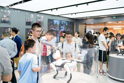 蔚藍科技發(fā)布具身智能產品矩陣，引領AI新紀元的信息技術咨詢服務革新